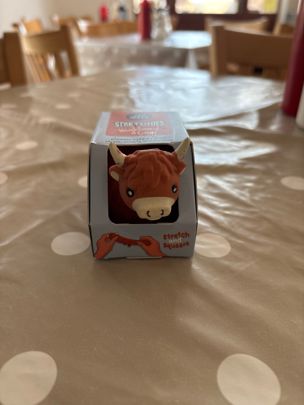 Highland Cow stretchies