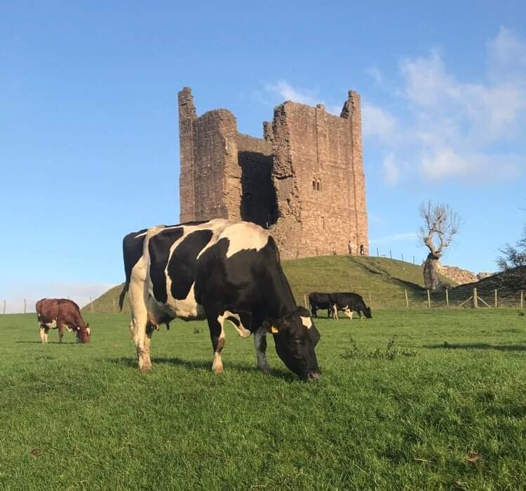 Brough Castle Farm